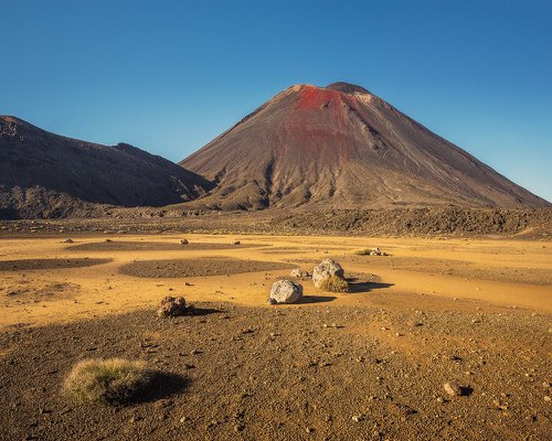 TO04 - If it bleeds - Tongariro National Park, Manawatu-Wanganui.jpg